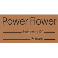Logo Power Flower